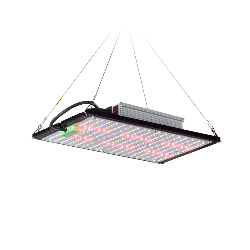 Plant Grow Light Full Spectrum - LED-Quantum-Board-Pflanzenlampe, Vollspektrum-Hängeleuchte zur ergänzenden Beleuchtung von