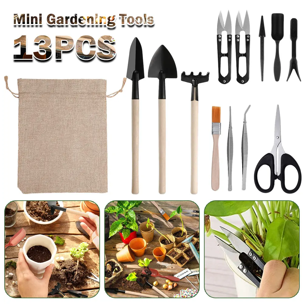 Indoor Garden Kit - 13 Stück Sukkulenten Werkzeugset für Zimmer