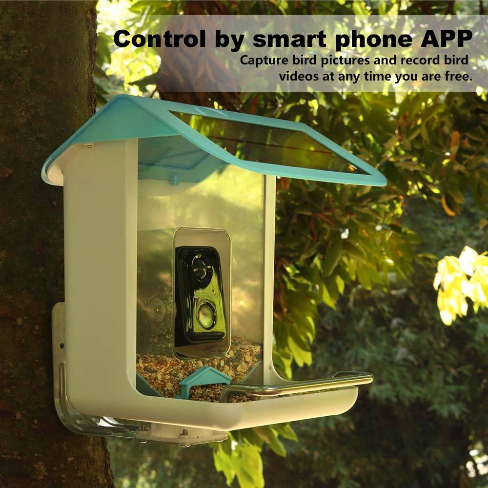 Outdoor-Wildtierkamera mit WLA – Garden Camera Bewertung und Preis