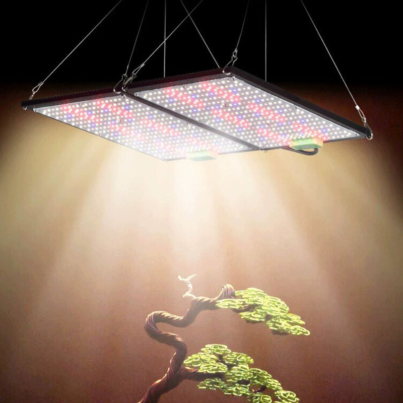LED-Quantum-Board-Pflanzenlamp – Plant Grow Light Full Spectrum Bewertung und Preis