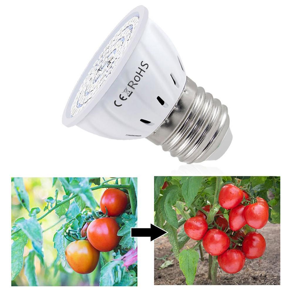 LED-Wachstumslampe E27 60-80 L – Plant Grow Light Full Spectrum Bewertung und Preis