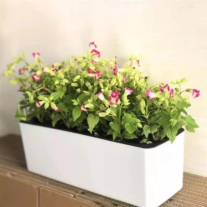 Rectangula Lazy Flower Pot Top – Hydroponic Grow Pod Bewertung und Preis