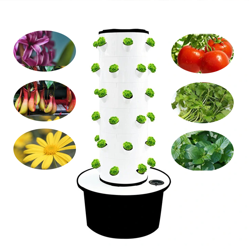 Meistverkauftes Hydroponisches – Hydroponic Tower Bewertung und Preis