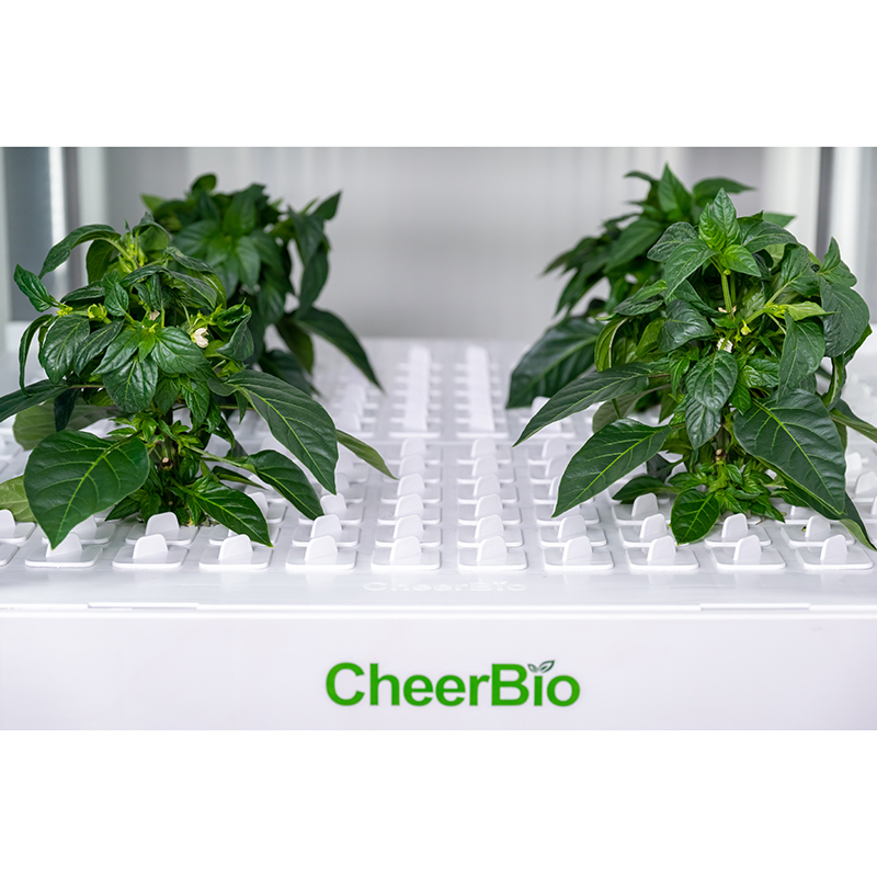 Neues Intelligentes Pflanzsyst – Smart Garden System Bewertung und Preis
