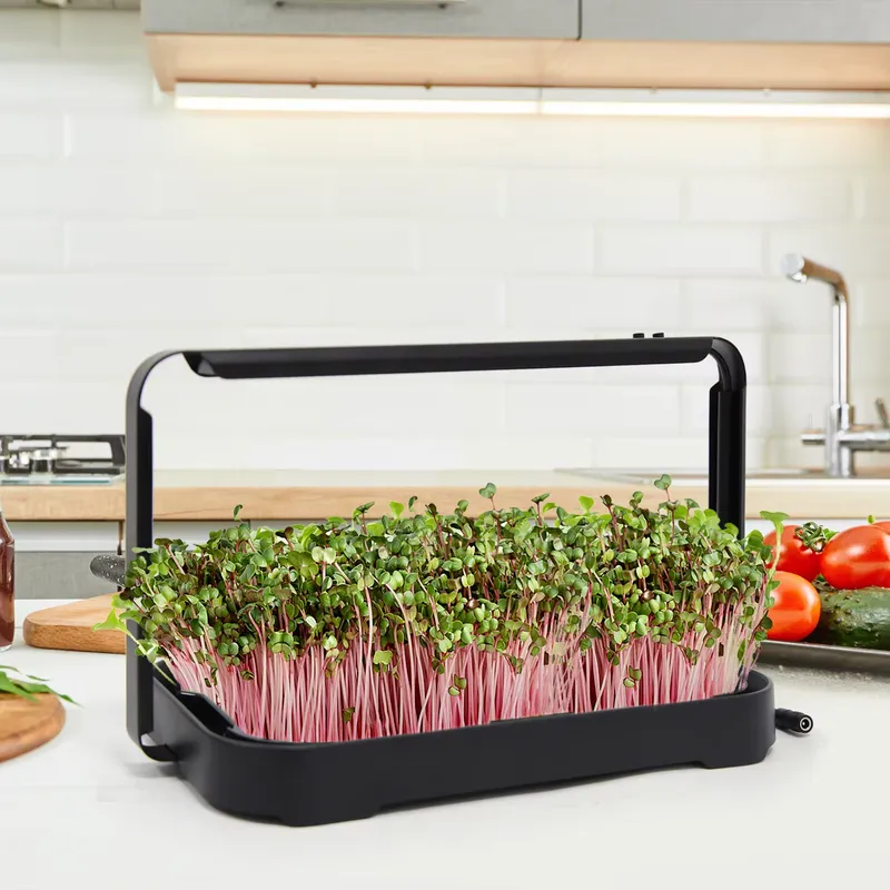 Hydroponisches Anzuchtsystem f – Smart Garden System Bewertung und Preis