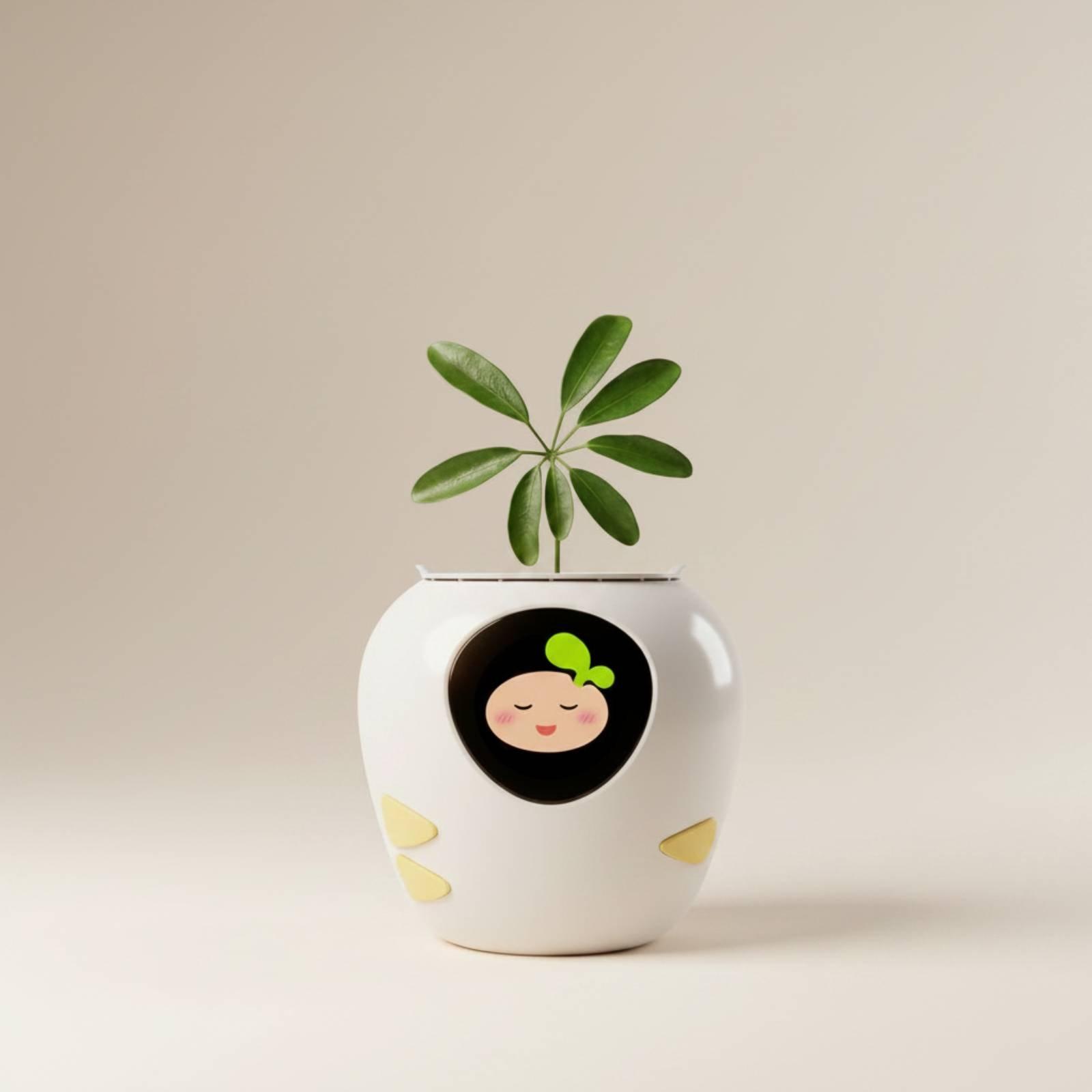 Emotionaler Begleiter-Blumento – Automatic Watering Bewertung und Preis
