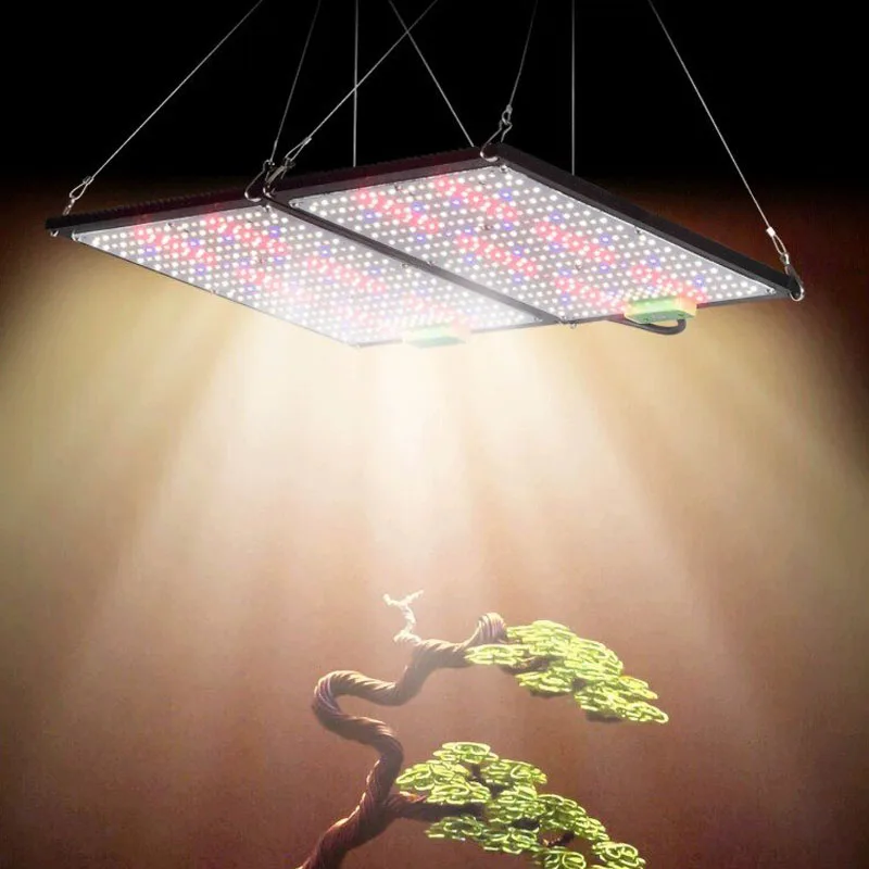 LED-Quantum-Board-Pflanzenlamp – Plant Grow Light Full Spectrum Bewertung und Preis