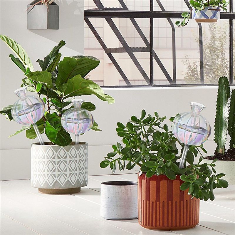 AA94 – Pflanzenbewässerungs-Gl – Self Watering Planter Bewertung und Preis